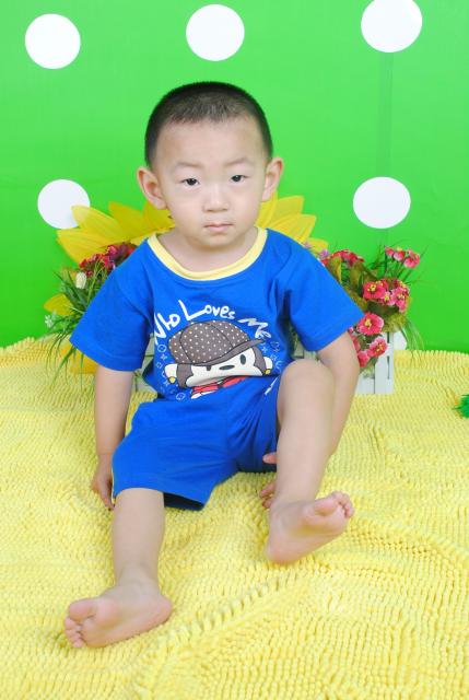 H01521 孙艳