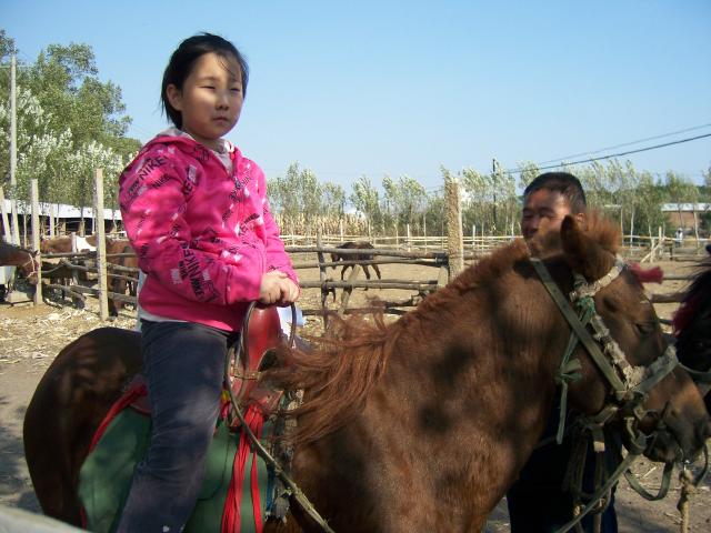 H00001 李楠