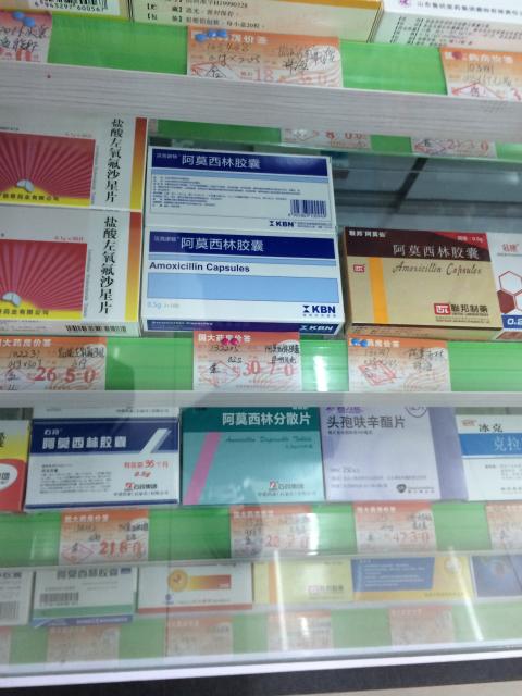 K00334 李娜