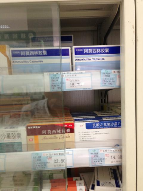 K01593 杨利伟