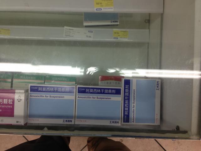K02824 宁健