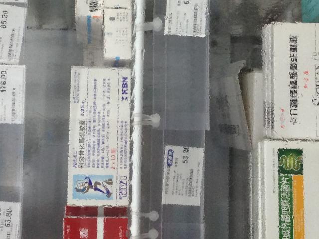 K02821 朱柳英