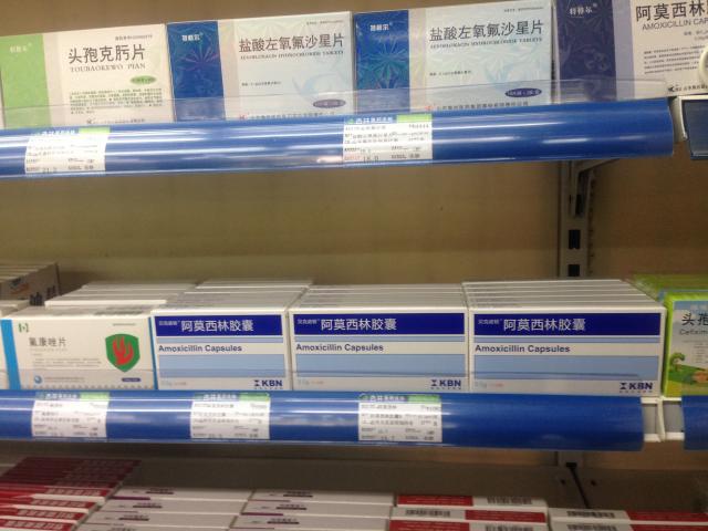 K02262 杨兵